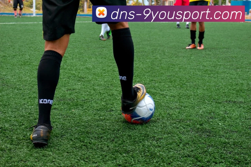 App Interface Preview