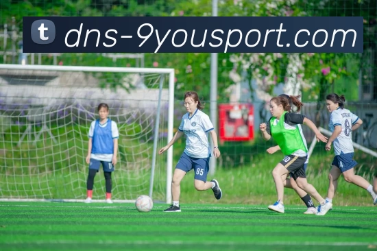 九游体育APP 封面图